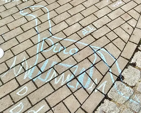 Dinobild auf dem Schulhof gezeichnet